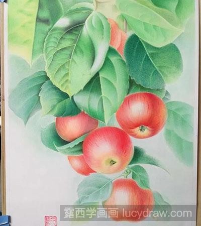 彩铅画教程-怎么绘制苹果