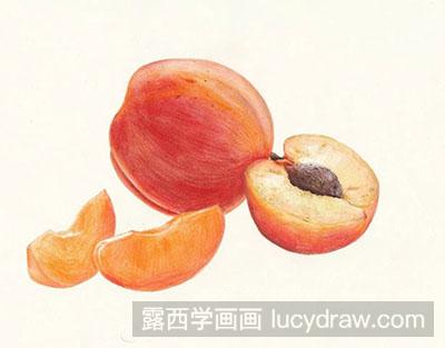 彩铅画教程：怎么绘制杏子