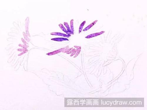 紫色小雏菊水彩画教程