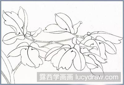 工笔画教程-怎么绘制牡丹叶子