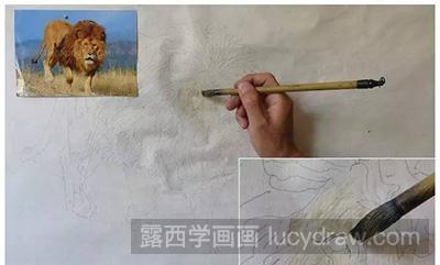 工笔画教程-怎么画狮子