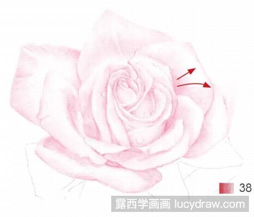 彩铅画教程：月季怎么画？