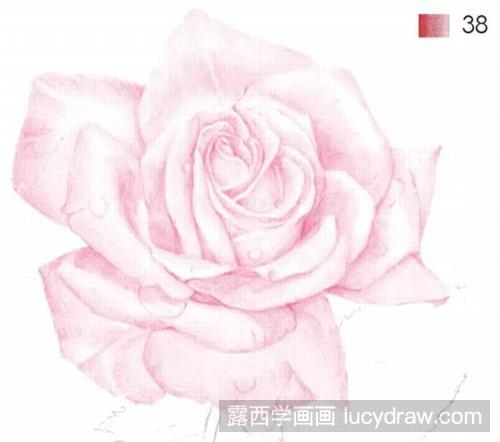 彩铅画教程：月季怎么画？