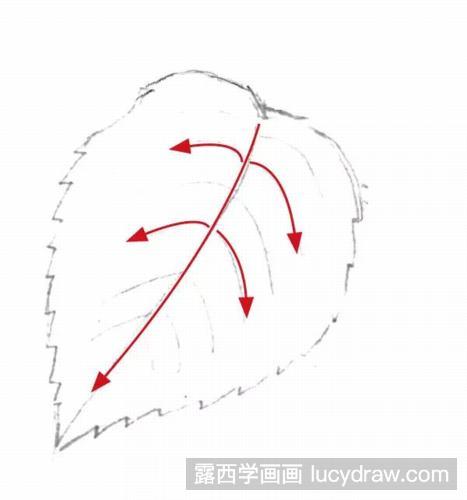 彩铅画教程：月季怎么画？