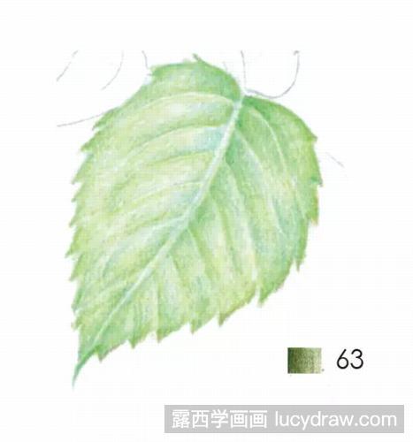 彩铅画教程：月季怎么画？