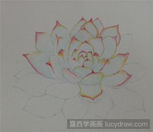 多肉蓝鸟水彩画教程