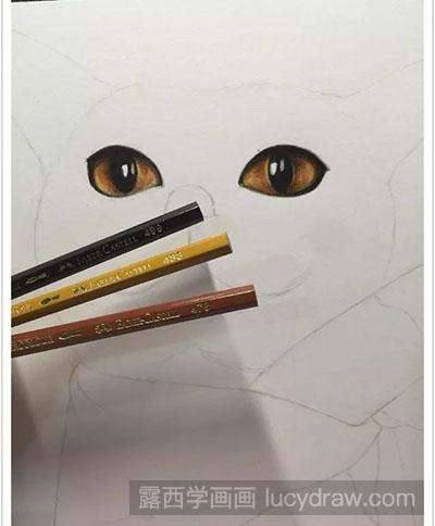 彩铅画教程-怎么绘制猫咪和鱼