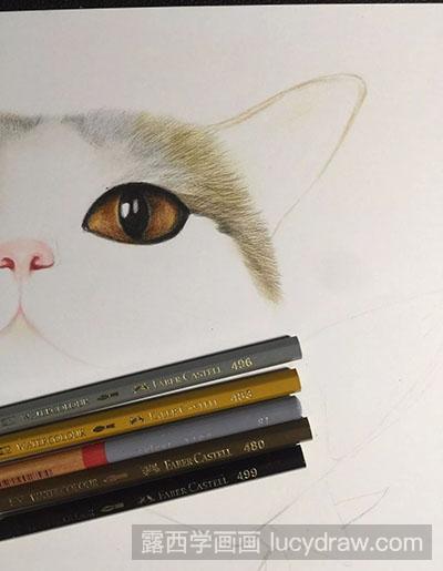 彩铅画教程-怎么绘制猫咪和鱼