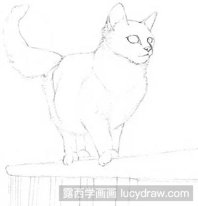 怎么画水彩画栅栏上的猫