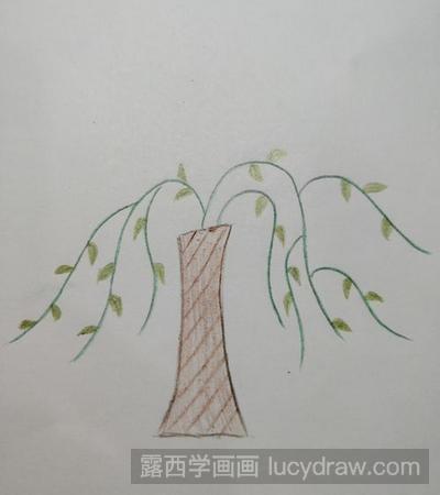 简笔画教程：教你画柳树