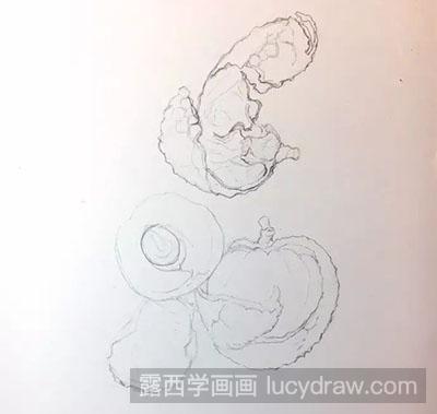 彩铅画教程-怎么画荔枝