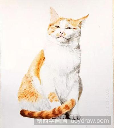 彩铅画教程-怎么画一只慵懒的猫咪