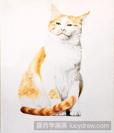 彩铅画教程-怎么画一只慵懒的猫咪