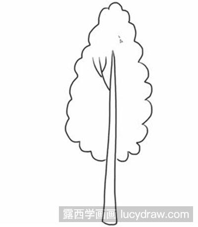 简笔画教程-怎么绘制一棵白杨树