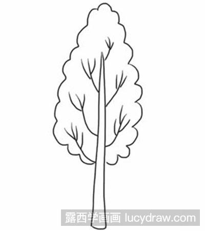 简笔画教程-怎么绘制一棵白杨树