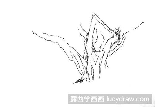 榕树钢笔画教程