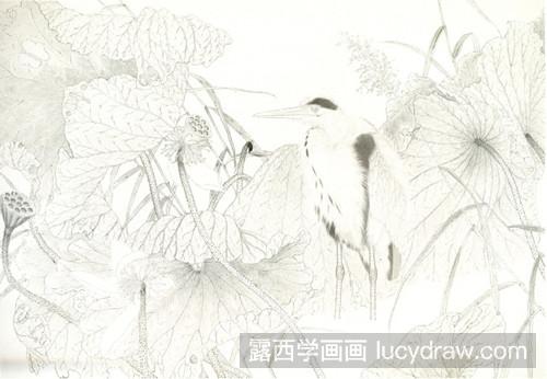 工笔画教程：荷花丛中的苍鹭