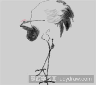 钢笔画教程：怎么画仙鹤