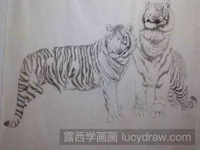 工笔画教程：怎么画老虎