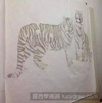 工笔画教程：怎么画老虎