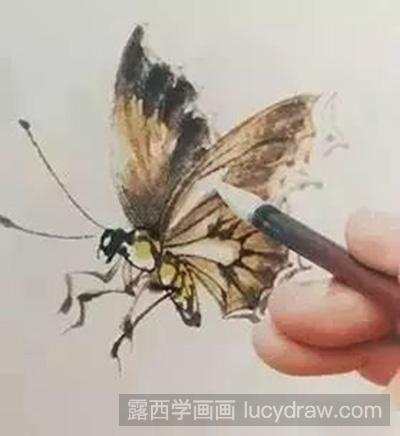 国画教程：怎么画蝴蝶