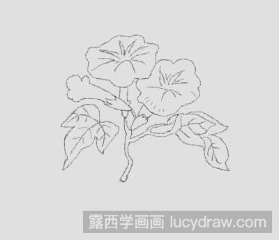 简笔画教程：教你画烟草花