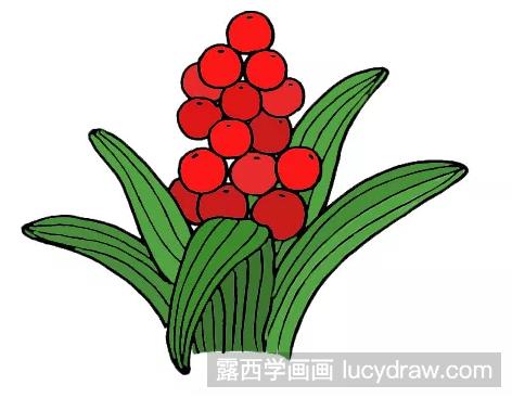 简笔画植物万年青的画法