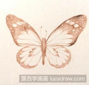 彩铅手绘蝴蝶教程