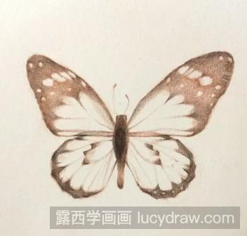 彩铅手绘蝴蝶教程