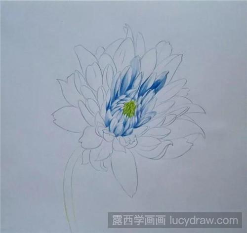彩铅画教程：蓝色大丽菊