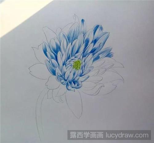 彩铅画教程：蓝色大丽菊
