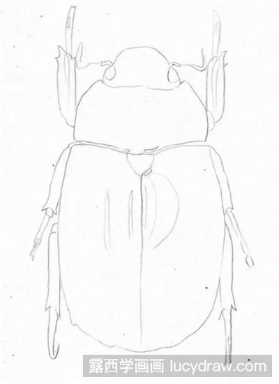 彩铅画教程：教你画小甲虫
