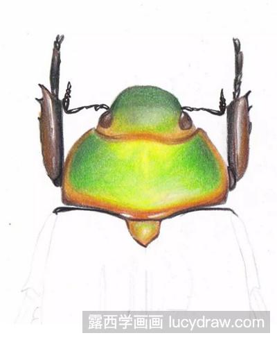 彩铅画教程：教你画小甲虫