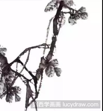 国画教程：怎么画柿子