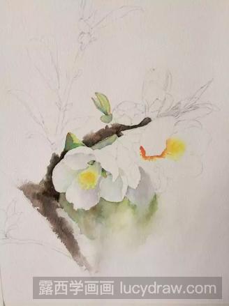 水彩画花卉教程：一枝梨花的画法