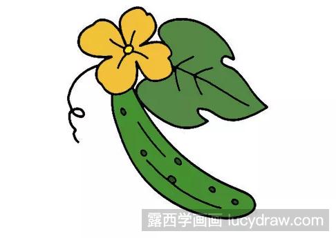 蔬菜简笔画教程：黄瓜的画法