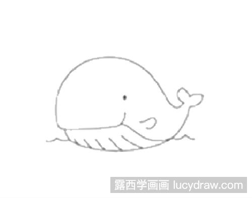 简笔画教程：如何画鲸鱼