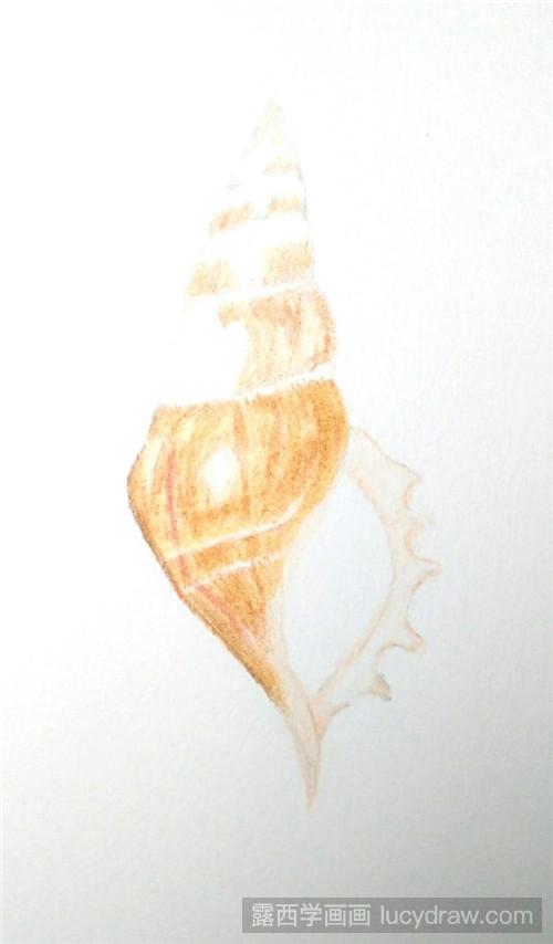 小海螺彩铅画教程