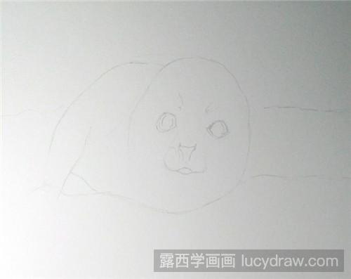 小海豹彩铅画教程