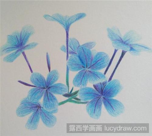 丁香花彩铅画教程