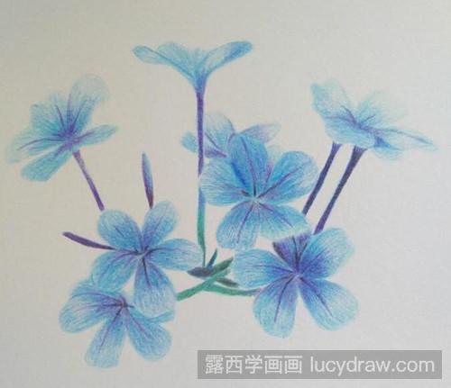 丁香花彩铅画教程