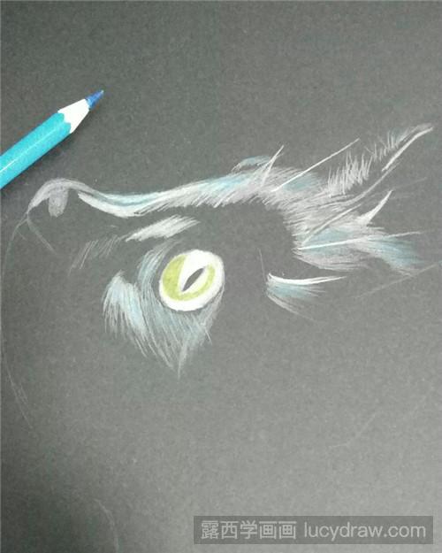 小黑猫彩铅画教程