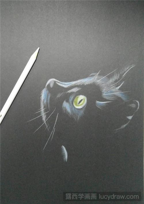 小黑猫彩铅画教程