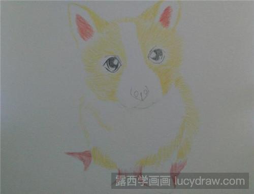 柯基犬彩铅画教程