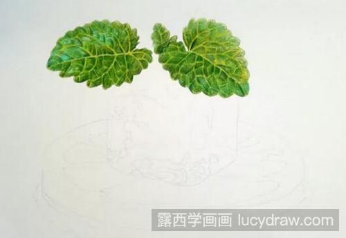 柠檬冰块彩铅画教程