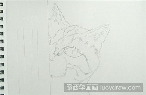 彩铅画教程：害羞小猫咪