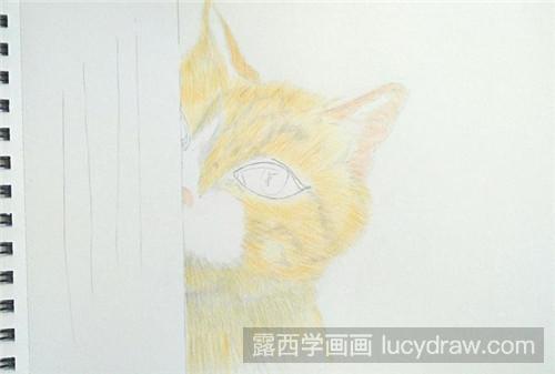 彩铅画教程：害羞小猫咪