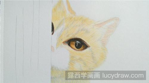 彩铅画教程：害羞小猫咪