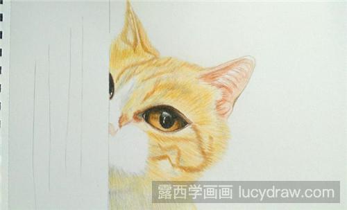 彩铅画教程：害羞小猫咪