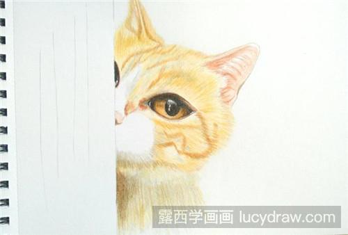 彩铅画教程：害羞小猫咪